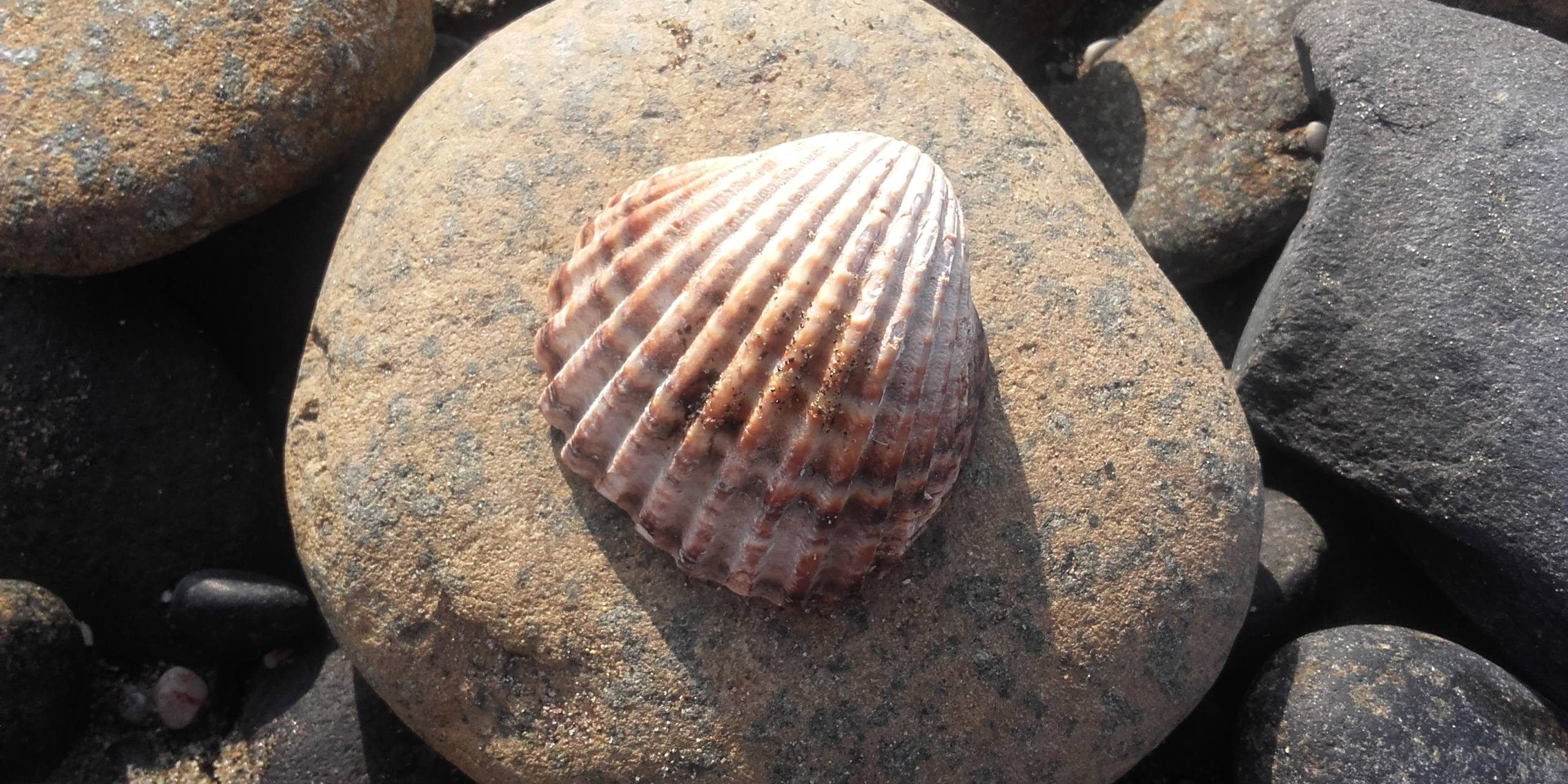 20160902 095543 20160902 095543