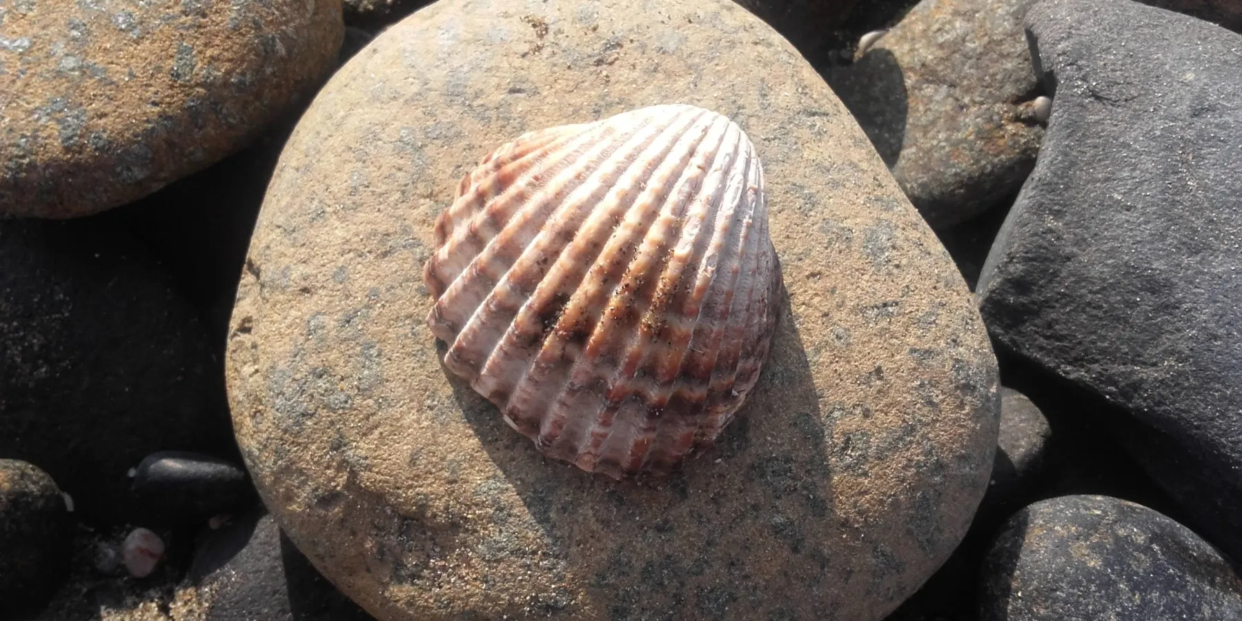 20160902 095543
