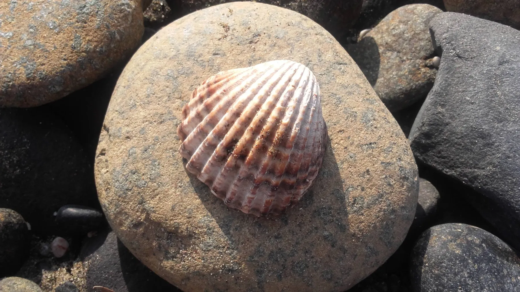 20160902 095543